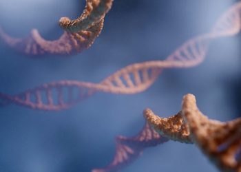 Cartografierea 3D a ADN-ului identifică noi gene legate de boala Crohn