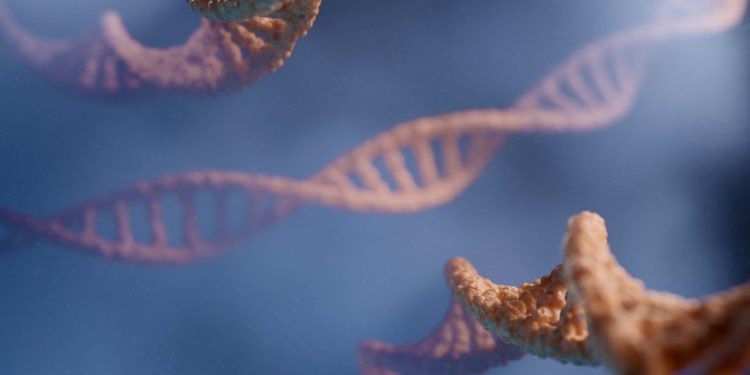 Cartografierea 3D a ADN-ului identifică noi gene legate de boala Crohn