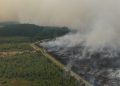 Incendiu masiv în Belgia: flăcările amenință granița cu Germania