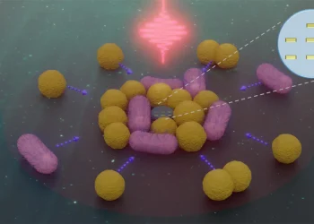 Nanoroboții acționați de lumină pot urmări și aduna bacterii